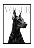 PLAKAT DOBREMAN VOGUE