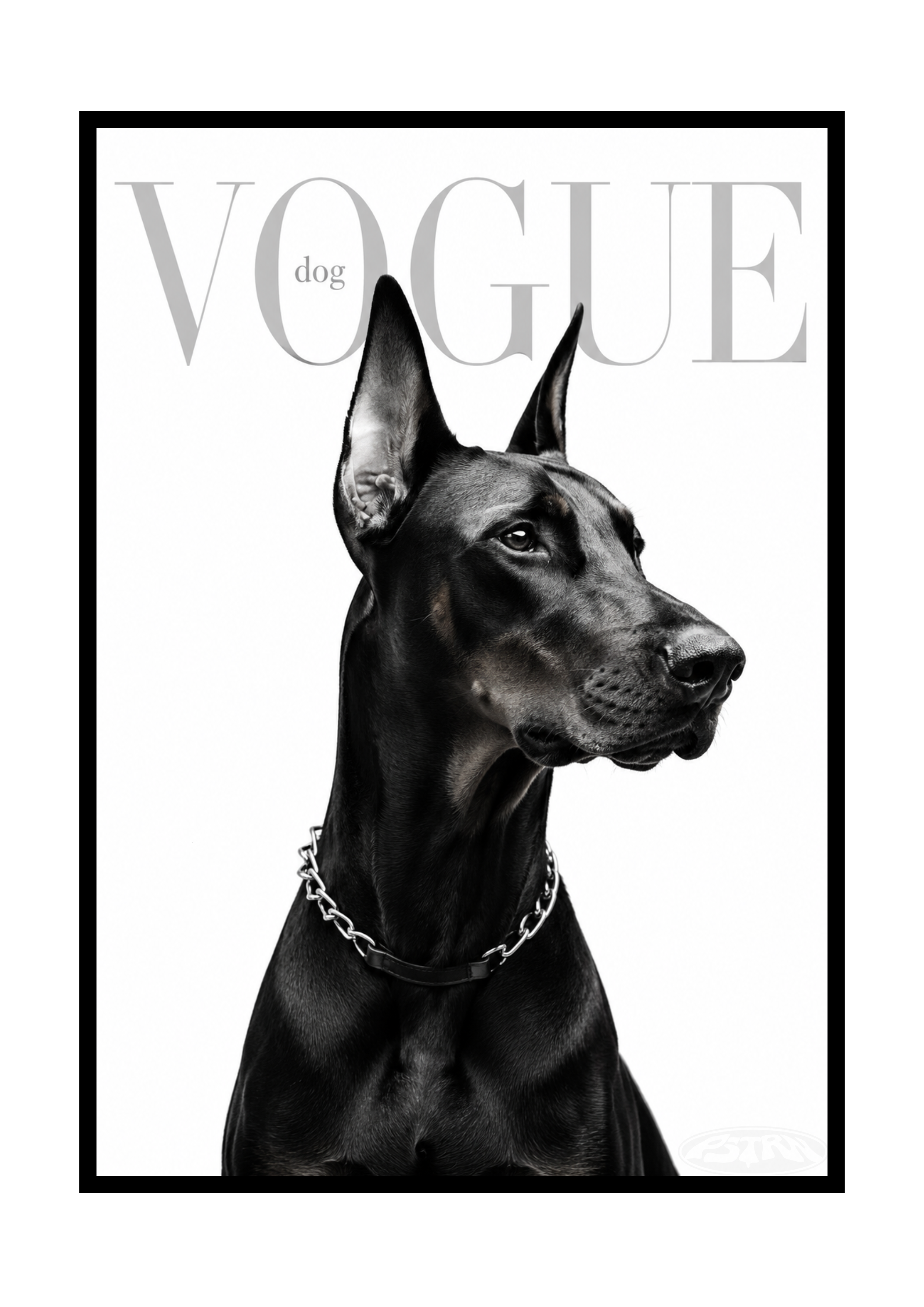 PLAKAT DOBREMAN VOGUE