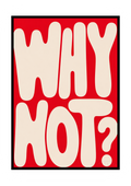 PLAKAT WHY NOT?