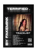 PLAKAT ALBUM "TERRIFIED ." FAKEMINK