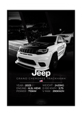 PLAKAT TRACKHAWK